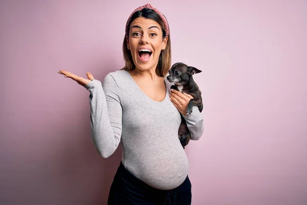 Jong Mooi Brunette Vrouw Zwanger Verwacht Baby Houden Chihuahua Puppy — Stockfoto