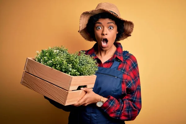 若いアフリカ系アメリカ人農家の女性は 驚きの顔でショックで怖がっている植物とエプロン保持ボックスを身に着けている巻き毛 恐れと恐怖の表現で興奮 — ストック写真