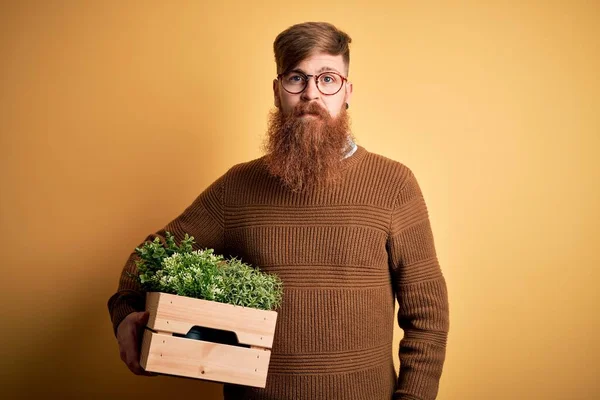 Rotschopf Irischer Mann Mit Bart Hält Holzkiste Mit Frischen Pflanzen — Stockfoto