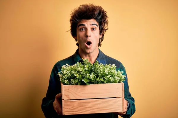 Jonge Knappe Man Holding Box Met Tuin Planten Geïsoleerde Gele — Stockfoto