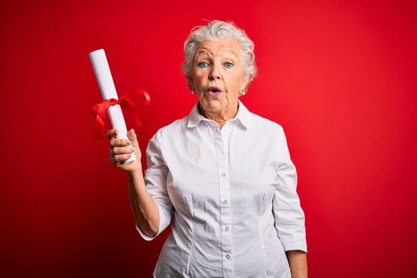 Senior Bella Studentessa Possesso Diploma Piedi Sopra Isolato Sfondo Rosso — Foto Stock