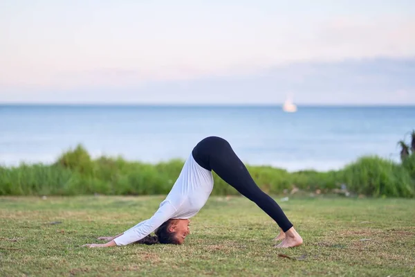 Young Beautiful Sportwoman Practicing Yoga Coach Teaching Dolphine Pose Park — Stock Photo, Image