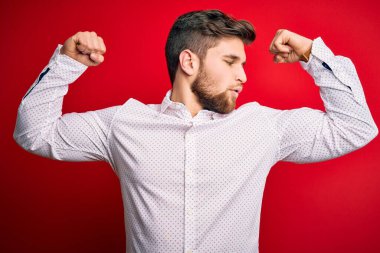 Sakallı, mavi gözlü, kırmızı arka planda zarif gömlek giyen genç sarışın işadamı gururla gülümseyen kol kaslarını gösteriyor. Fitness konsepti.
