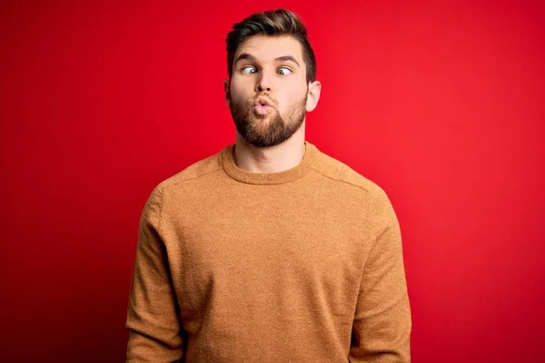 Jeune Homme Blond Avec Barbe Yeux Bleus Portant Pull Décontracté — Photo