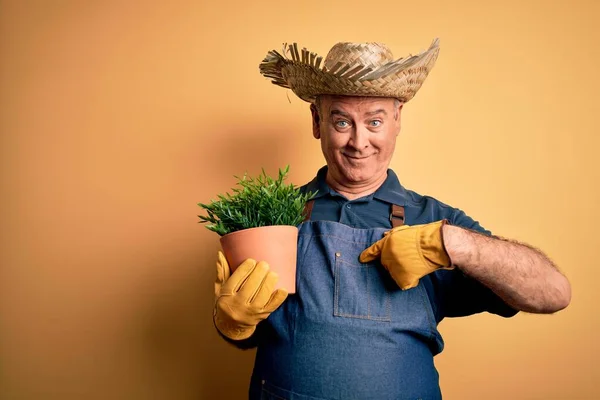 Medelålders Hoary Bonde Man Bär Förkläde Och Hatt Innehav Växt — Stockfoto