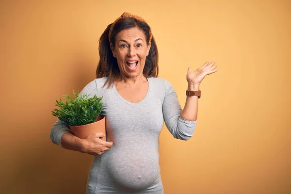 妊娠中の中年女性が期待している赤ちゃんの開催工場ポット非常に幸せと興奮 大きな笑顔で叫んで勝利を祝う勝者の式と手を上げ — ストック写真