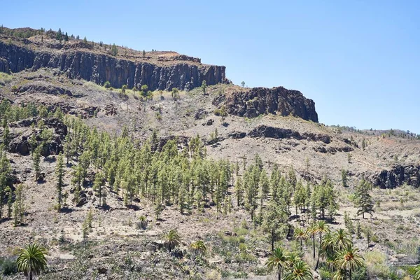 Prachtig Berglandschap Zonnige Dag — Stockfoto