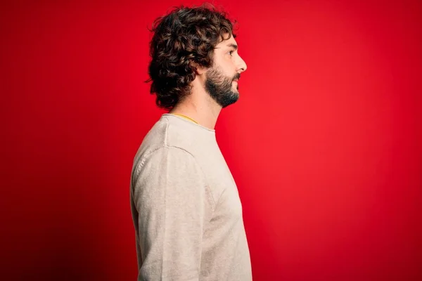 Young Handsome Man Beard Wearing Casual Sweater Standing Red Background — Stock Photo, Image