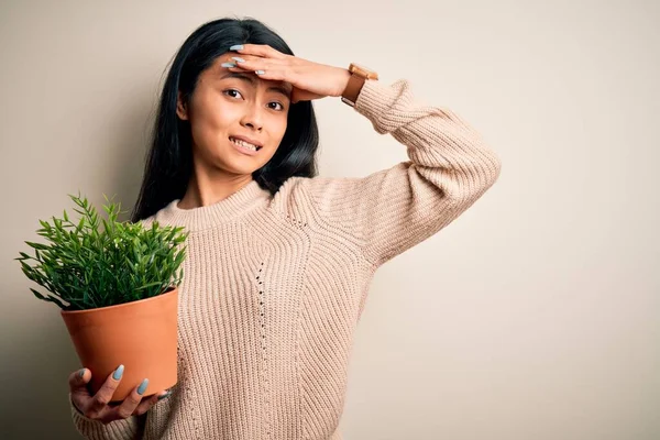 Young beautiful chinese woman holding plant pot standing over isolated white background stressed with hand on head, shocked with shame and surprise face, angry and frustrated. Fear and upset for mistake.