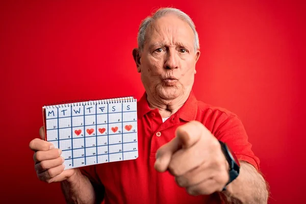 Starszy Siwowłosy Mężczyzna Trzymający Specjalny Kalendarz Czerwonym Tle Wskazujący Palcem — Zdjęcie stockowe