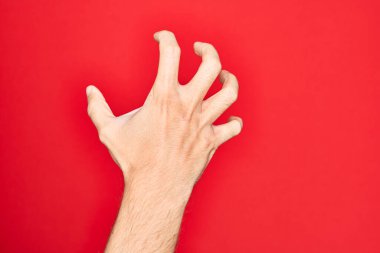 Kafkas genci parmaklarını izole edilmiş kırmızı arka planda gösteriyor. Saldırgan ve korkutucu parmaklar, şiddet ve hüsranla kavrıyor.