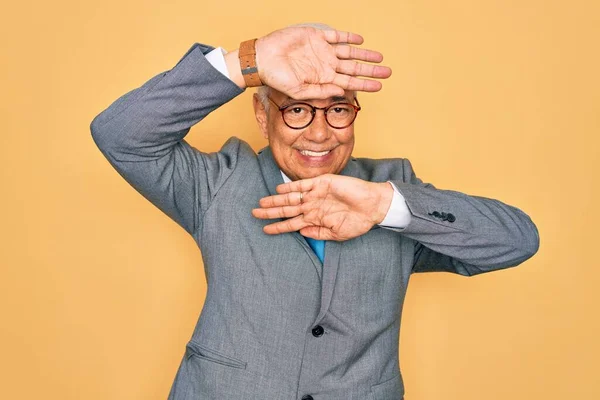 Hombre Negocios Guapo Pelo Gris Mediana Edad Con Gafas Sobre —  Fotos de Stock