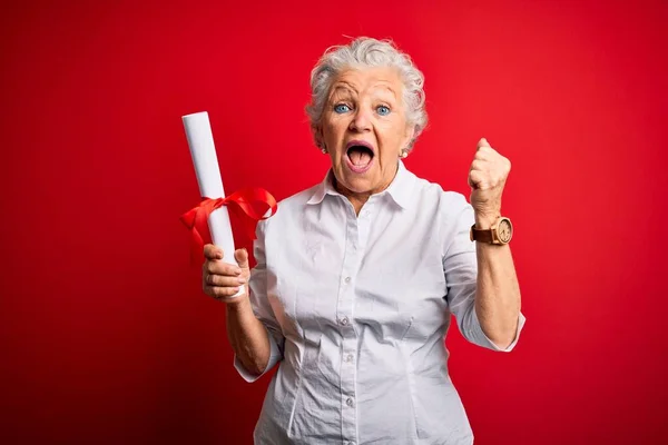 Senior Belle Étudiante Titulaire Diplôme Debout Sur Fond Rouge Isolé — Photo