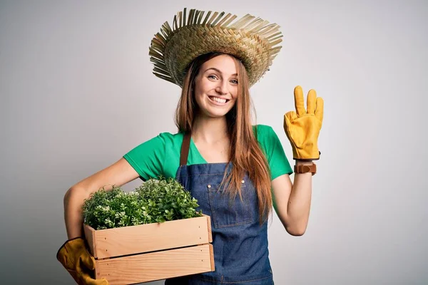 Young Beautiful Redhead Farmer Woman Wearing Apron Hat Holding Box — Stock Photo, Image