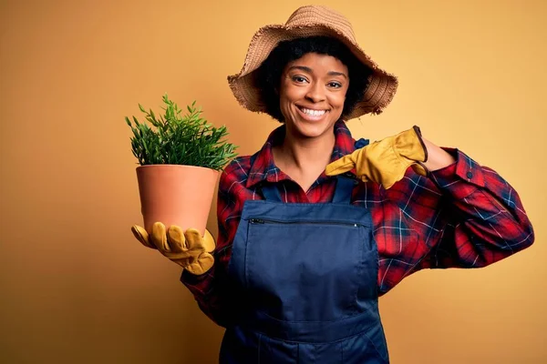 若いですアフリカ系アメリカ人農家の女性とともに巻き毛を身に着けていますエプロン保持ポットとともに植物とともに驚き顔指差し指彼自身 — ストック写真