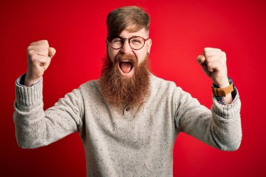 Sakallı, kızıl saçlı, kızıl saçlı, kırmızı arka planda gözlük takan, sinirli ve öfkeli bir İrlandalı adam öfkeyle bağırırken yumruklarını kaldırıyor. Öfke ve agresif kavram.