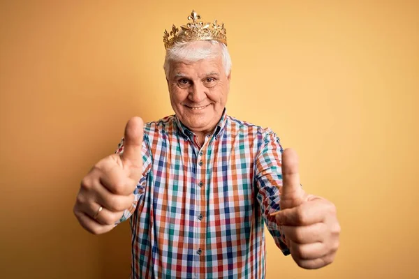 Uomo Anziano Bello Hoary Indossa Corona Oro Del Sfondo Giallo — Foto Stock