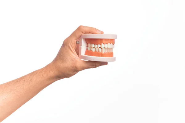 Mão Caucasiano Jovem Segurando Dentes Plástico Dentadura Sobre Fundo Branco — Fotografia de Stock