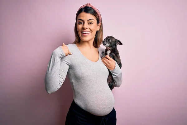 Mladý Krásný Brunetka Žena Těhotná Očekává Dítě Drží Chihuahua Štěně — Stock fotografie