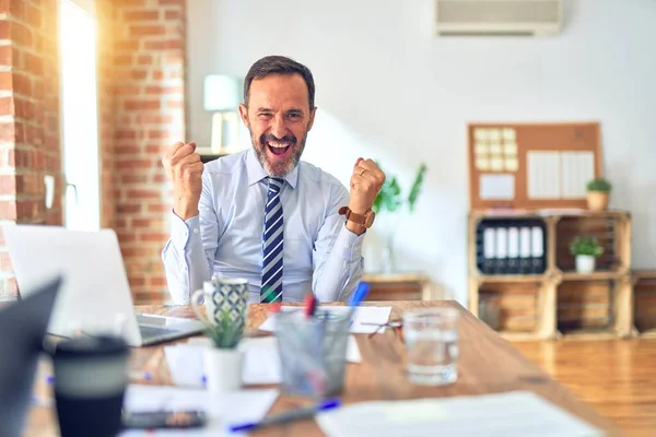 Medelålders Stilig Affärsman Bär Slips Sitter Med Laptop Kontoret Firar — Stockfoto