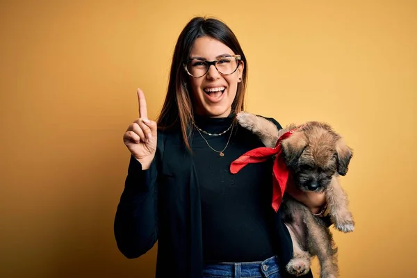 Young beautiful brunette woman holding cute puppy pet over isolated yellow background surprised with an idea or question pointing finger with happy face, number one