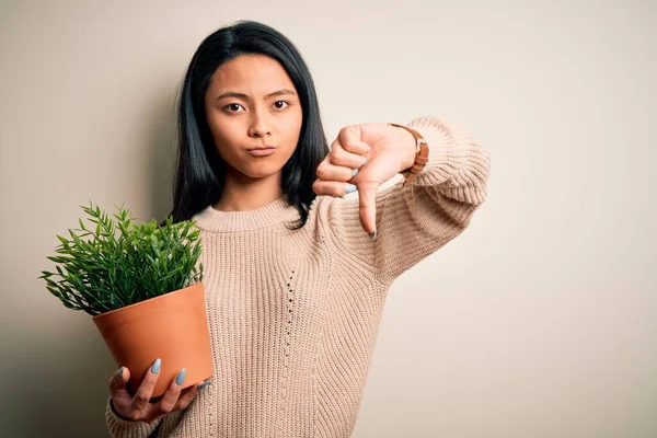 Young beautiful chinese woman holding plant pot standing over isolated white background with angry face, negative sign showing dislike with thumbs down, rejection concept