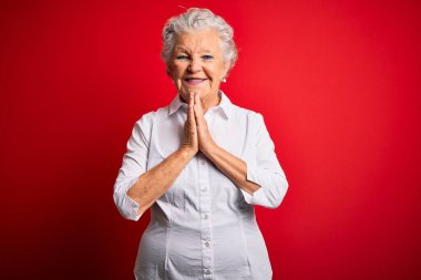 Zarif bir tişört giyen son sınıf güzeli kırmızı arka planda dikilip ellerini birleştirip af diliyor kendinden emin bir şekilde gülümseyerek..