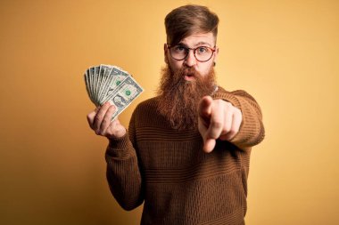 Kızıl saçlı, sakallı, elinde 1 dolarlık banknotlarla sarı arka planda kamerayı işaret eden İrlandalı bir adam ve sen, el işareti, ön taraftan pozitif ve kendinden emin bir jest.