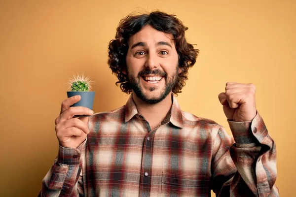 Jovem Com Cabelo Encaracolado Barba Segurando Pequeno Vaso Planta Cacto — Fotografia de Stock