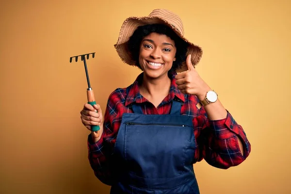 若いですアフリカ系アメリカ人アフロ農家の女性とともに巻き毛を身に着けていますエプロンと帽子を使用しています熊手幸せで大きな笑顔を行いますOkサイン 指で親指アップ 優れたサイン — ストック写真