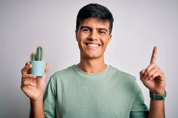 Joven Hombre Guapo Sosteniendo Pequeña Maceta Cactus Sobre Fondo Blanco —  Fotos de Stock