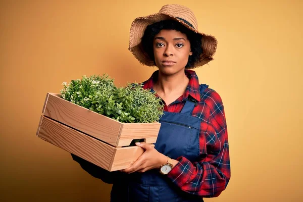 Jovem Agricultor Afro Americano Mulher Com Cabelo Encaracolado Vestindo Avental — Fotografia de Stock