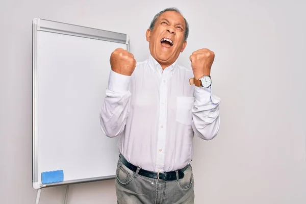 Senior Handsome Grey Haired Businessman Doing Presentation Using Magnetic Board — Stock Photo, Image