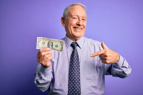 Старший Сіро Волохатий Чоловік Тримає Банкноту Один Долар Над Фіолетовим — стокове фото