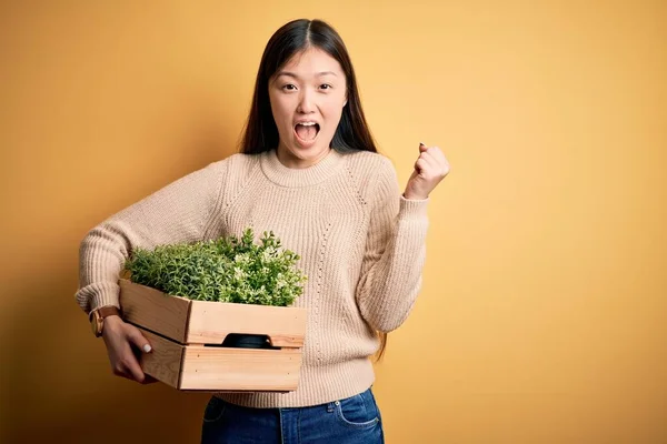 Joven Mujer Asiática Sosteniendo Caja Madera Jardín Fresco Plantas Naturales — Foto de Stock