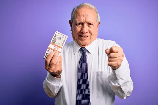 Starszy Siwowłosy Mężczyzna Trzymający Kilka Banknotów Dolarów Fioletowym Tle Zirytowany — Zdjęcie stockowe