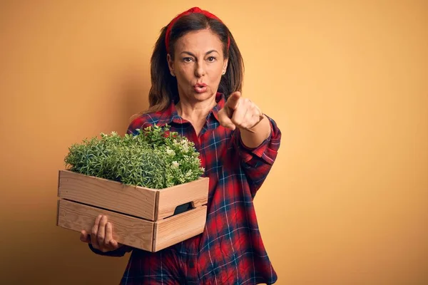 Mulher Morena Meia Idade Segurando Jardim Caixa Madeira Plantas Frescas — Fotografia de Stock