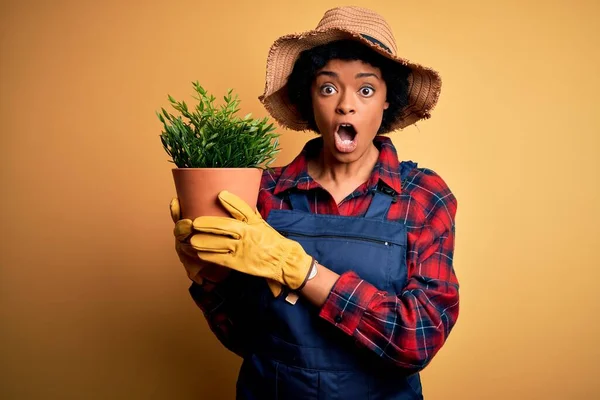 Mladá Afro Americká Farmářka Kudrnatými Vlasy Zástěře Držící Hrnec Rostlinami — Stock fotografie