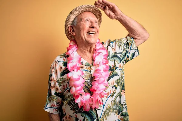 Šedovlasý Starší Muž Letním Klobouku Havajském Lei Žlutém Pozadí Velmi — Stock fotografie