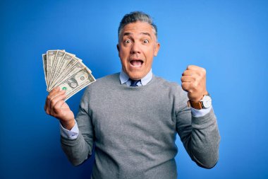 Orta yaşlı, yakışıklı, gri saçlı, elinde bir sürü dolarla mavi arka planda gururla bağıran, zaferi ve başarıyı kutlayan heyecanlı, neşeli bir adam.