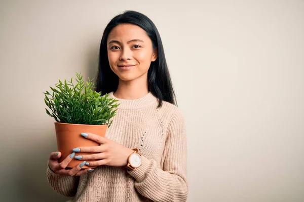 Young beautiful chinese woman holding plant pot standing over isolated white background with a happy face standing and smiling with a confident smile showing teeth