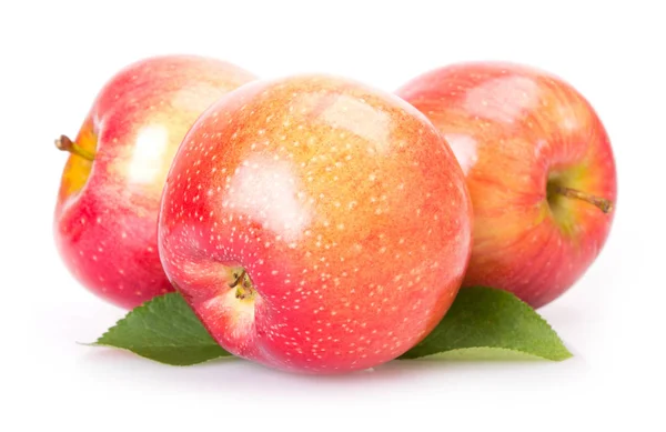 Manzanas frescas aisladas en blanco — Foto de Stock