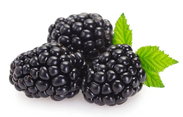Fresh blackberry on white background — Stock Photo, Image