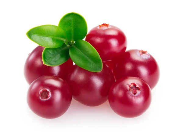 Fresh cranberry isolated on white background — Stock Photo, Image