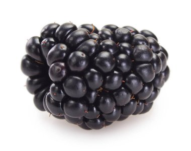 beyaz zemin üzerine taze böğürtlen