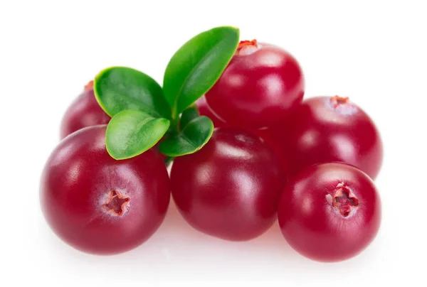 Cranberry segar diisolasi pada latar belakang putih — Stok Foto