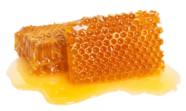 白い背景に蜂蜜とハニカム — ストック写真