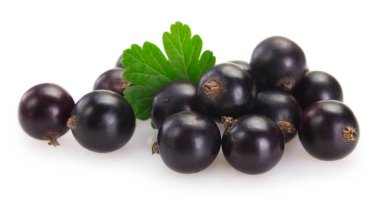 Beyaz arka planda Siyah frenk üzümü