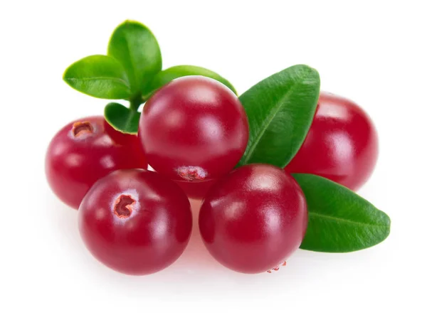 Fresh cranberry isolated on white background — Stock Photo, Image