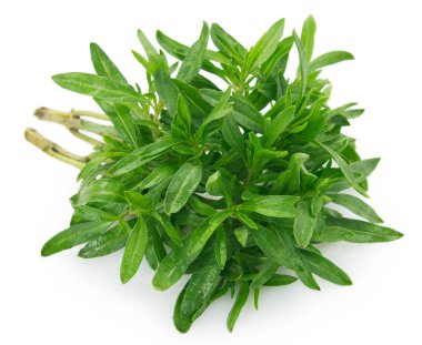 Beyaz arkaplanda izole edilmiş taze kekik